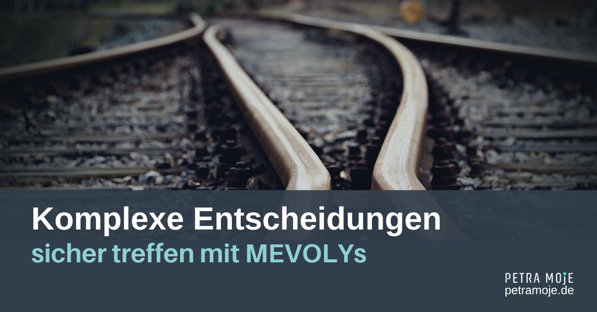 Komplexe Entscheidungen sicher treffen mit MEVOLYs