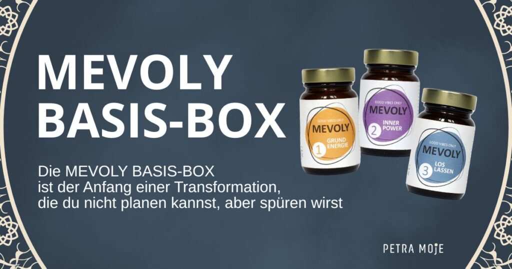 MEVOLY BASIS-BOX: Der Anfang deiner Transformation. Blog von Petra Moje