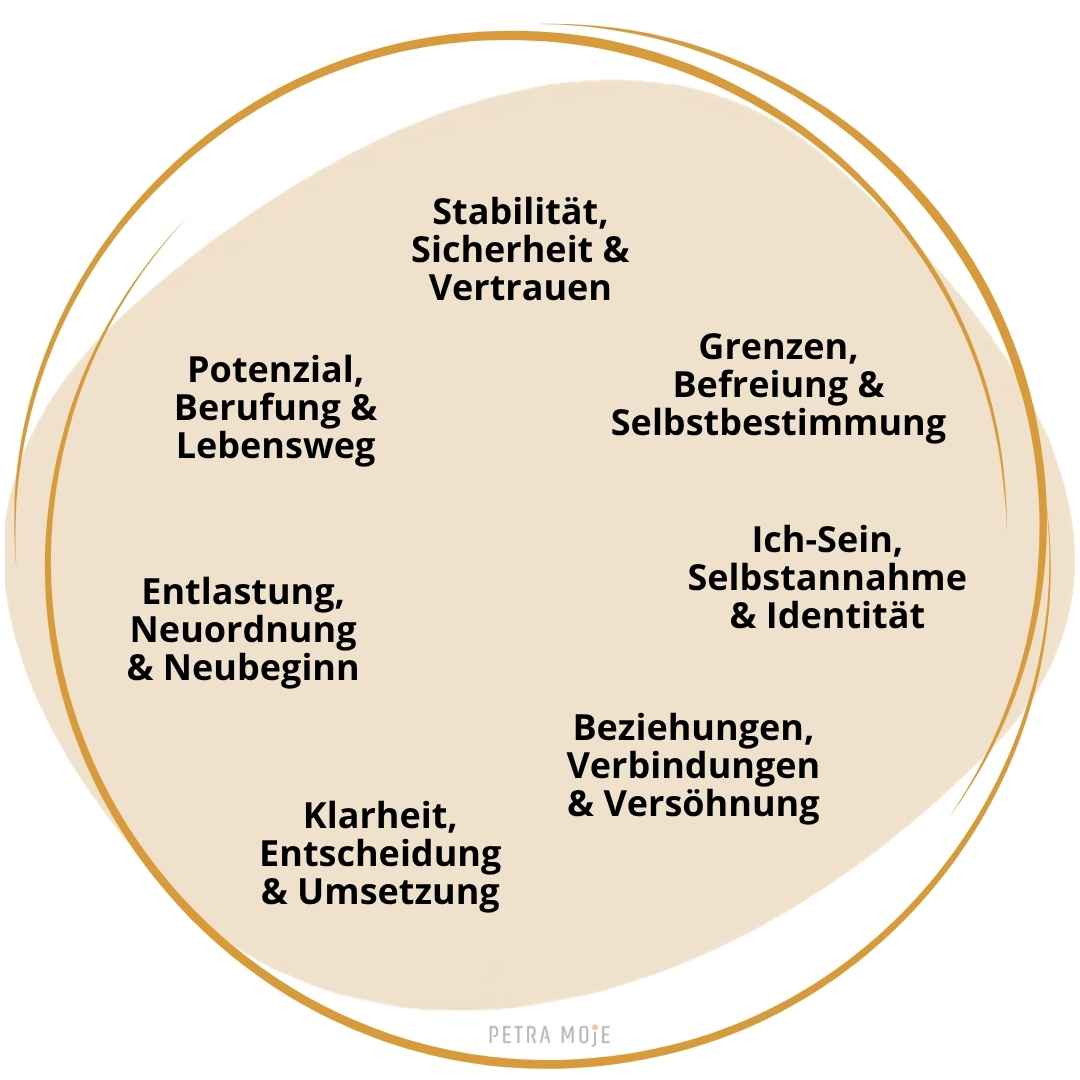 Übersicht der sieben Themengebiete der MEVOLYs