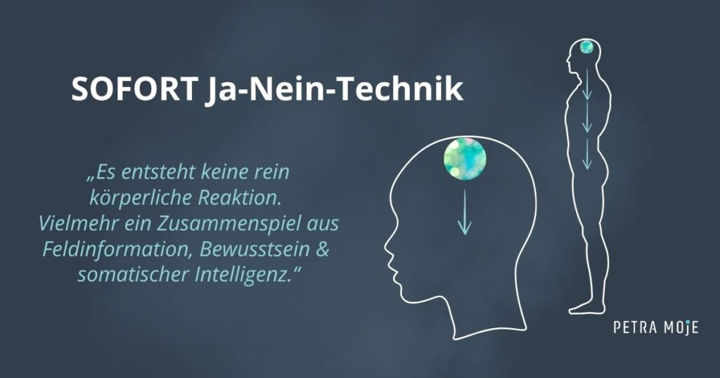 Grafik zur SOFORT Ja-Nein-Technik von Petra Moje. Links steht ein Zitat in türkisfarbener Schrift: „Es entsteht keine rein körperliche Reaktion. Vielmehr ein Zusammenspiel aus Feldinformation, Bewusstsein & somatischer Intelligenz.“
Rechts sind zwei stilisierte Körperumrisse zu sehen – ein Kopf im Profil und eine stehende Figur –, in deren Gehirnbereich eine leuchtende grün-blaue Kugel dargestellt ist, verbunden durch Pfeile entlang des Körpers. Unten rechts steht der Name Petra Moje.
