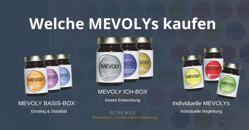 Welche MEVOLYs kaufen – Übersicht zur Auswahl zwischen MEVOLY BASIS-BOX, MEVOLY ICH-BOX und individuellen MEVOLYs für Einstieg, Entwicklung und persönliche Begleitung