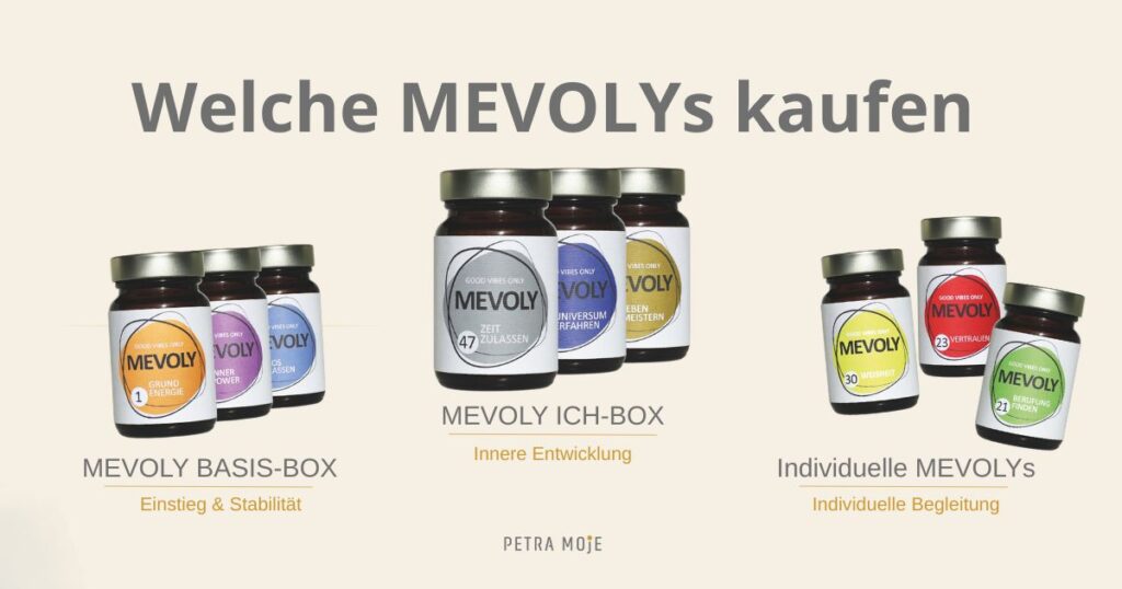 Welche MEVOLYs kaufen – Übersicht zur Auswahl zwischen MEVOLY BASIS-BOX, MEVOLY ICH-BOX und individuellen MEVOLYs für Einstieg, Entwicklung und persönliche Begleitung